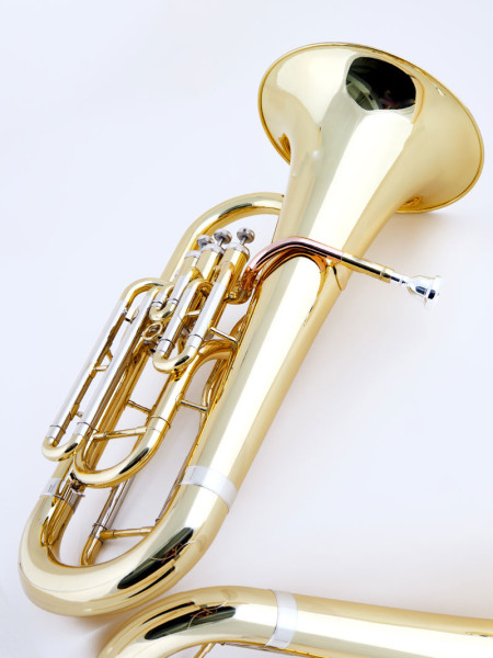 Tenor Horn