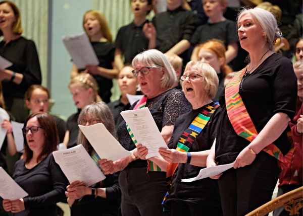 Adult Groups and Ensembles