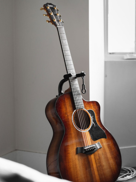 Acoustic Guitar