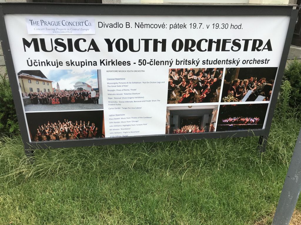 Musica Youth Orchestra (MYO)